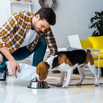 The Role of Regular Home Inspections in Wildlife Control and Prevention