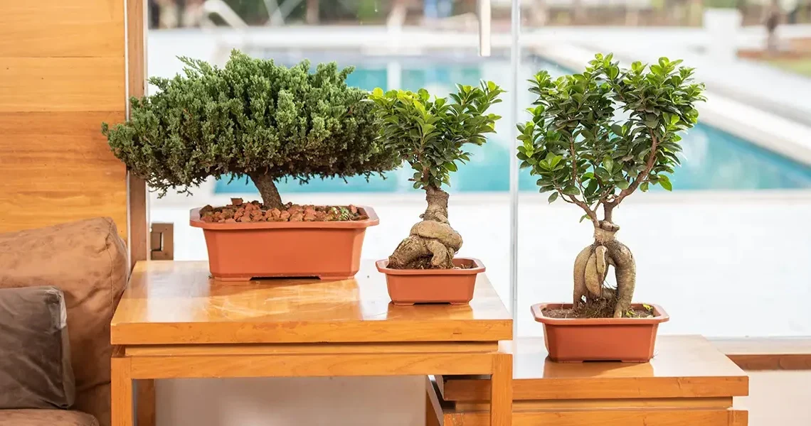 Improve Commercial Landscaping With Durable Planters For High-Traffic Outdoor Areas