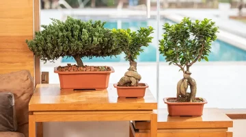 Improve Commercial Landscaping With Durable Planters For High-Traffic Outdoor Areas