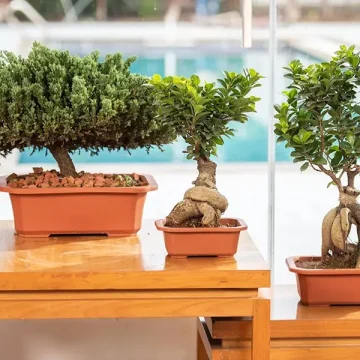 Improve Commercial Landscaping With Durable Planters For High-Traffic Outdoor Areas
