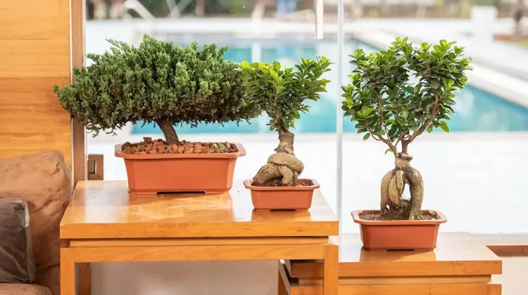Improve Commercial Landscaping With Durable Planters For High-Traffic Outdoor Areas